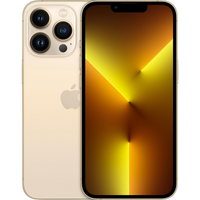 iPhone 13 Pro Max - Gold